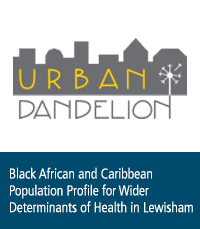 Urban Dandelion case Study